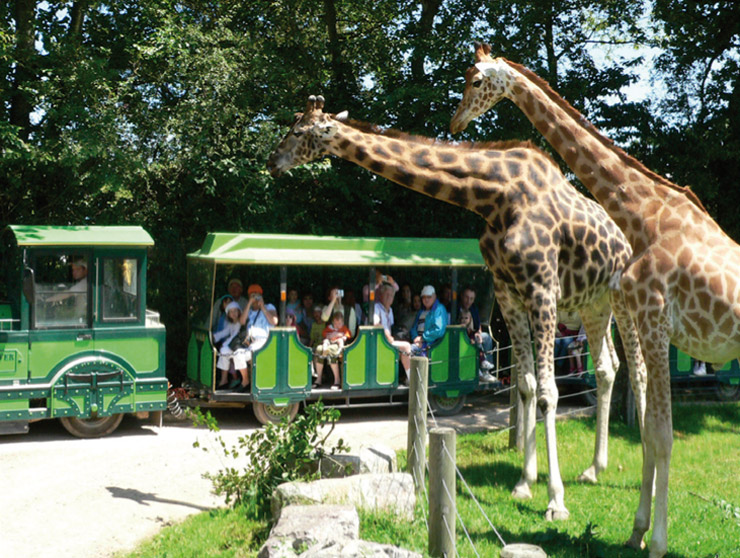 TRAIN-ParcCERZA_CC_HD